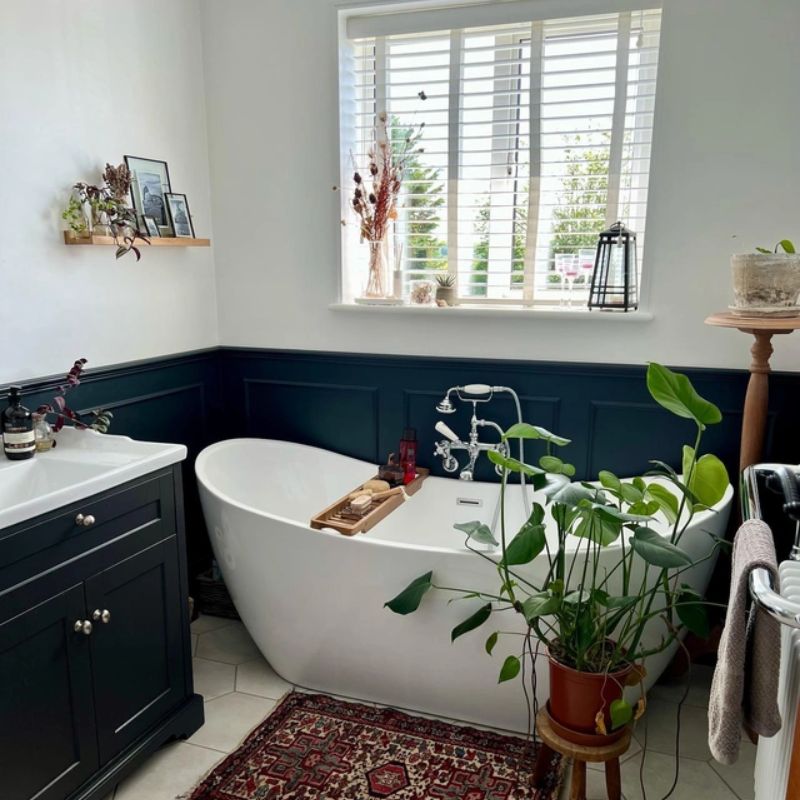 Anti Mould Paint Paint Anti Mould Page 2 Decorating Centre Online