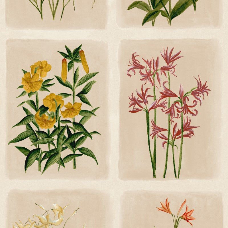 Laura Ashley Pershore Postcards Wallpaper Sample