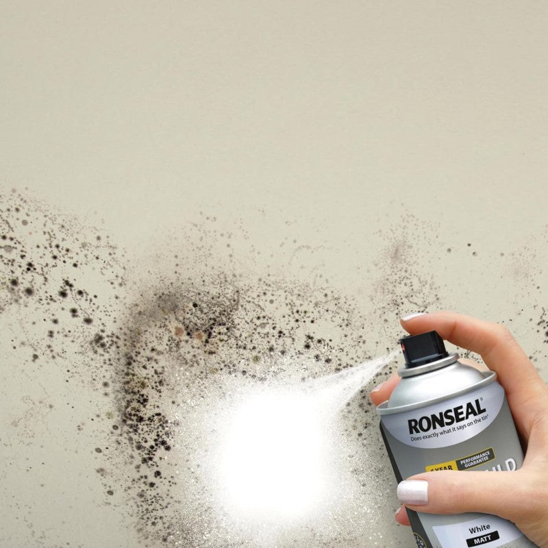Ronseal Anti Mould Spray Paint Aerosol - White 400ml