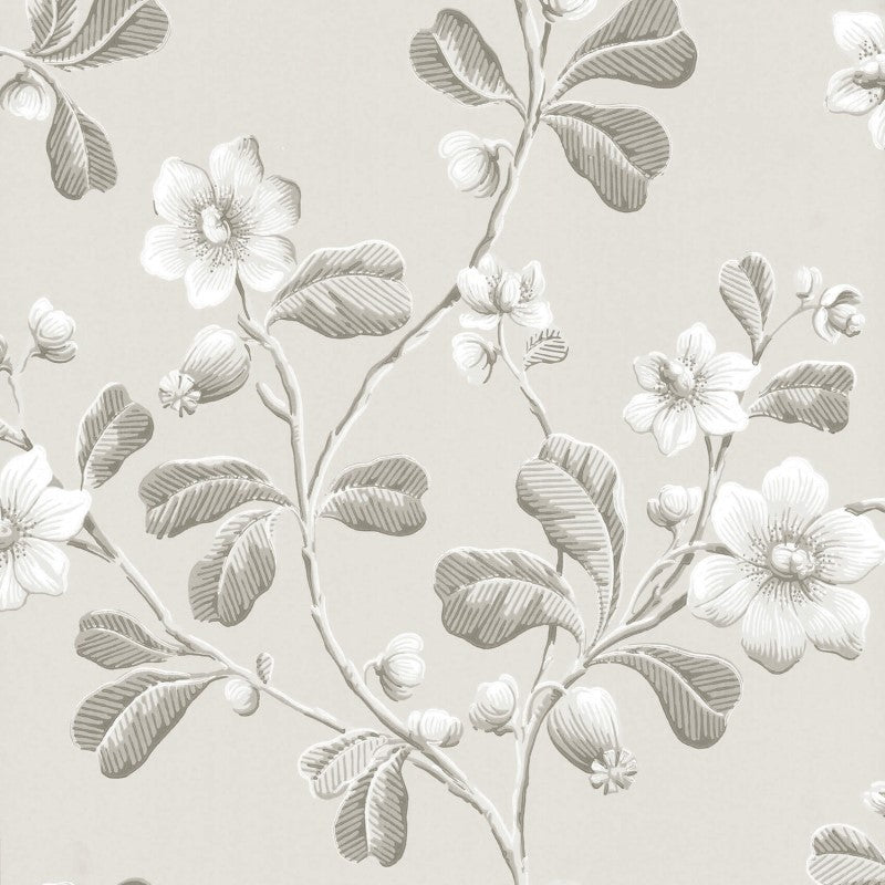 Little Greene Broadwick St Wallpaper Sample - Pitch