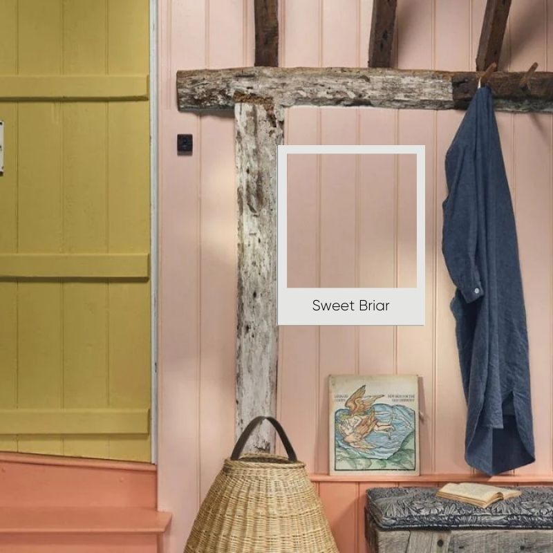 Morris & Co Paint - Eggshell