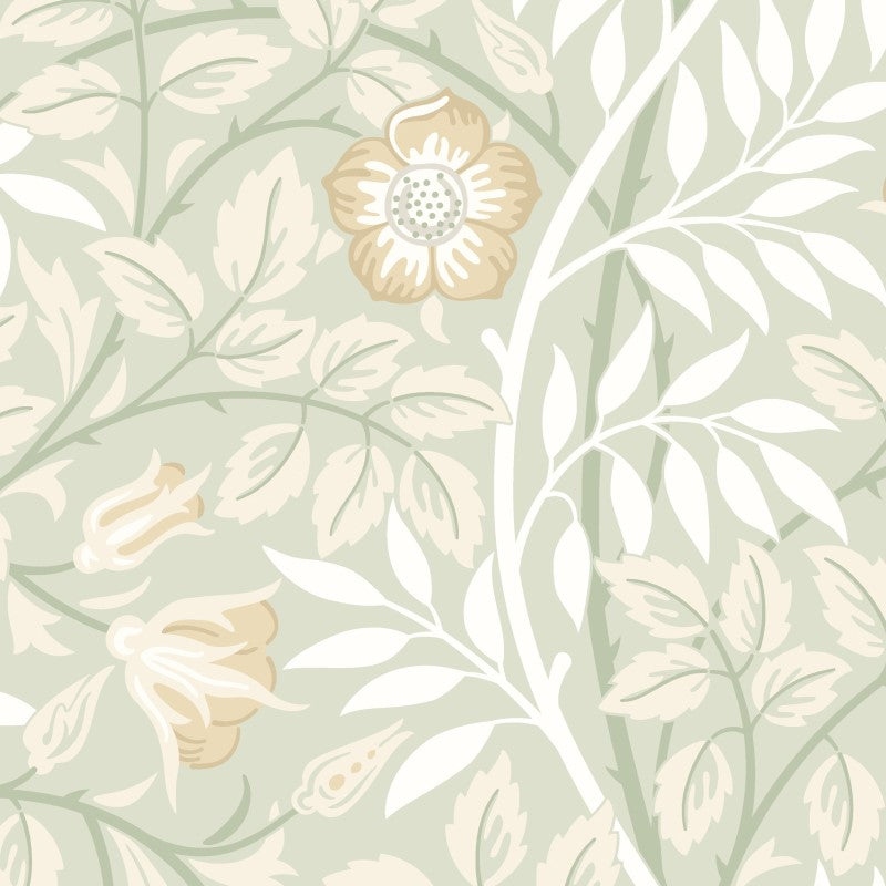 Hoopla Walls Rosehip Trail Wallpaper