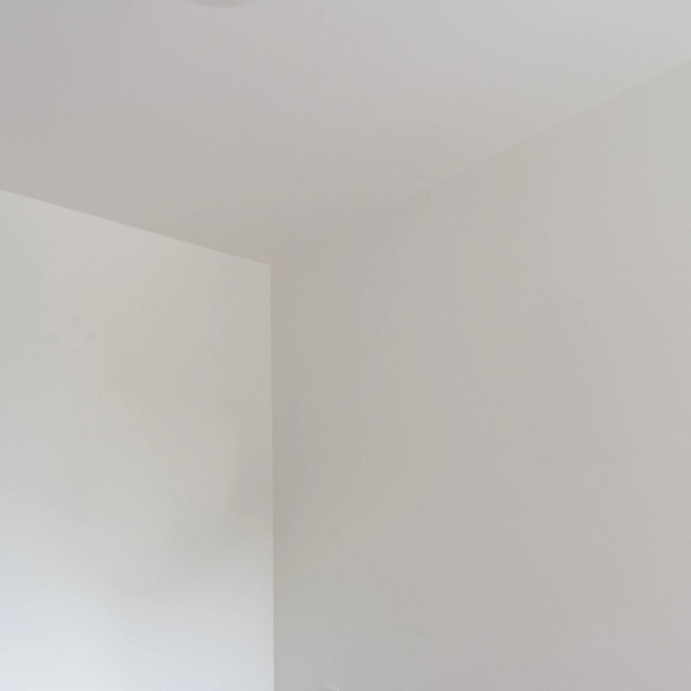 Owatrol VC175 Mould Killer - 50ml