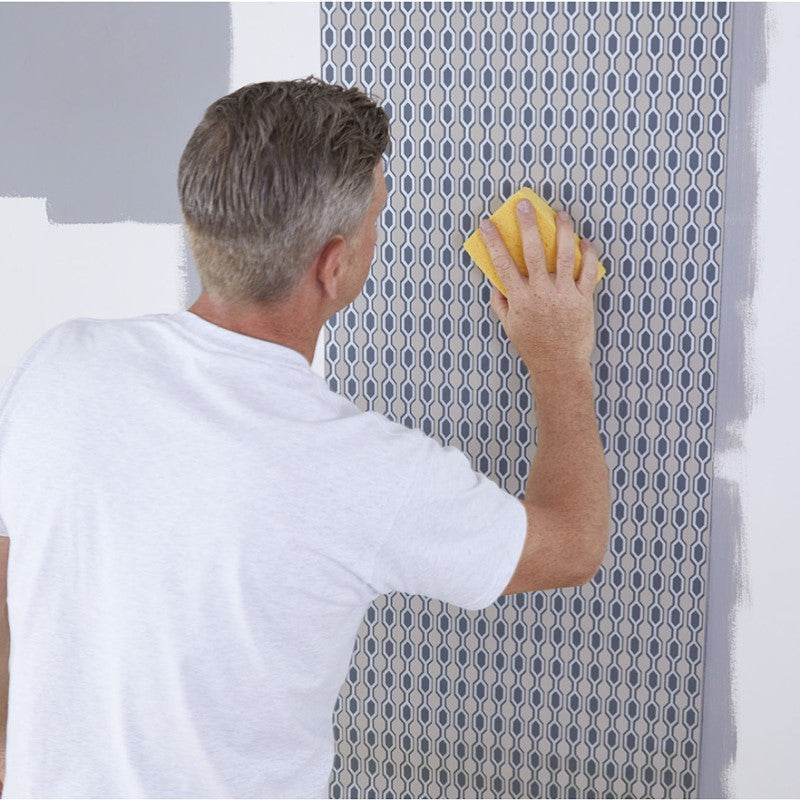 ProDec Small Cellulose Sponge