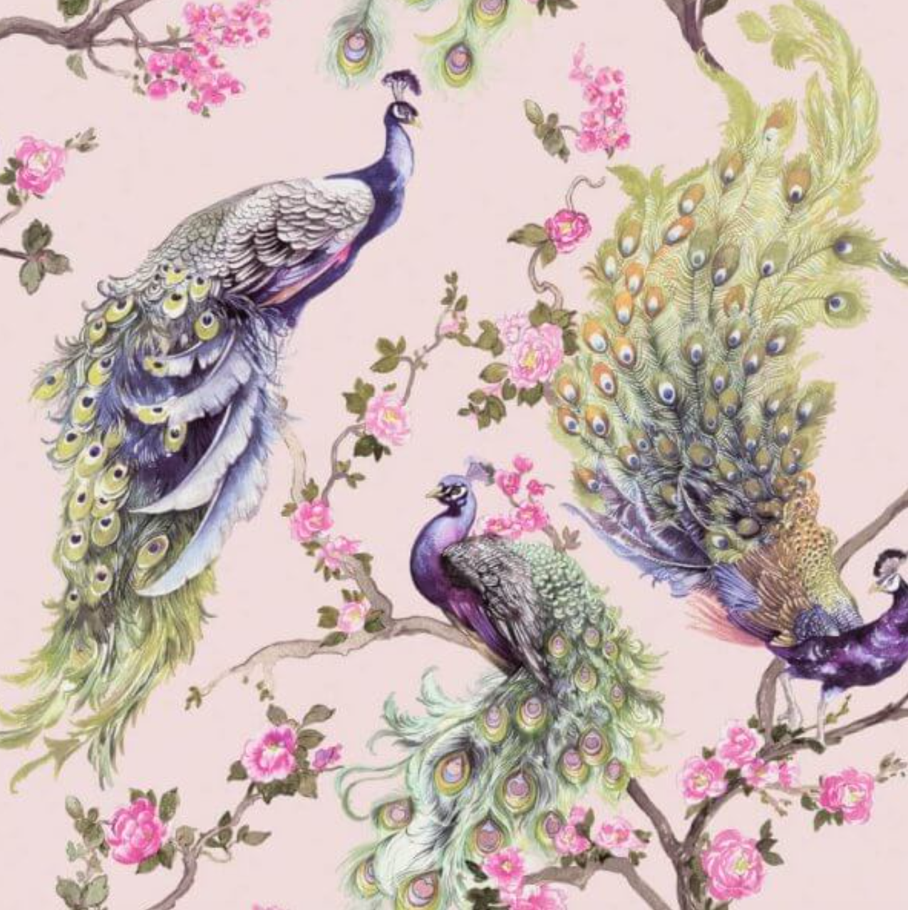 Menali Glitter Peacock Wallpaper-Pink sample