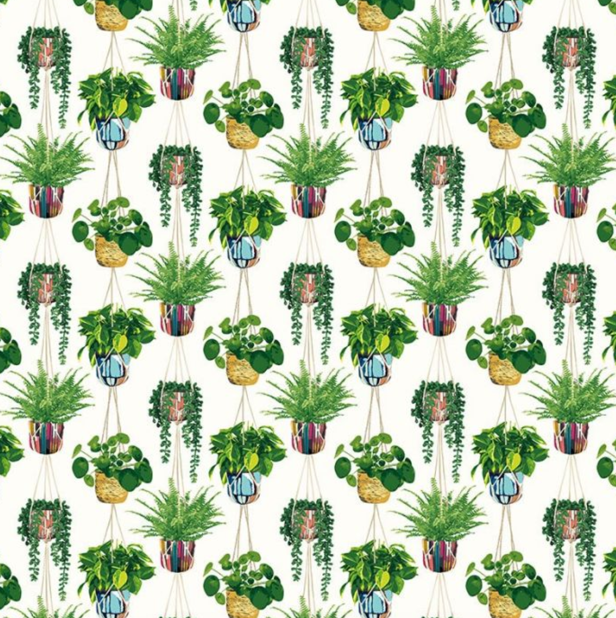 Ohpopsi Houseplant Wallpaper Parakeet Sample