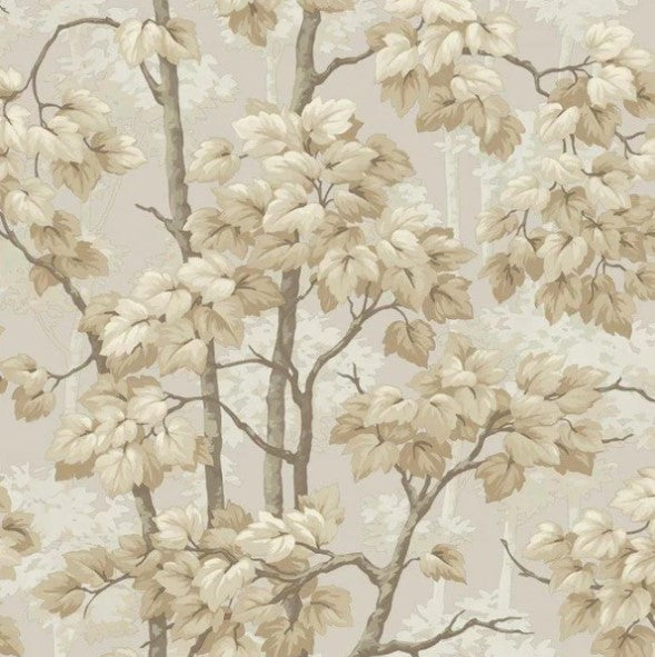 Rivington Woodland Tree Wallpaper Natural Sample
