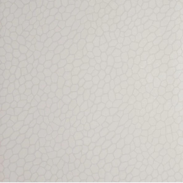 Clarke & Clarke Playa Wallpaper- Parchment Sample