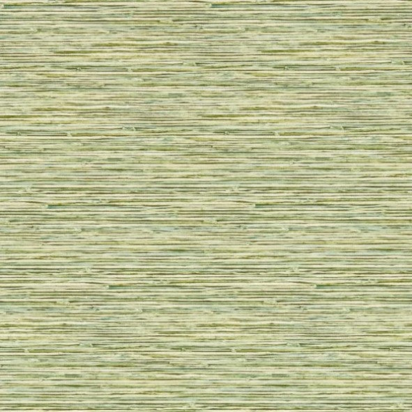 Clarke & Clarke Xan Wallpaper - Palm Sample