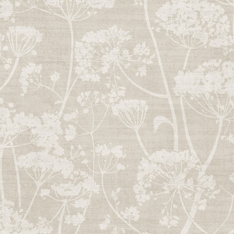 Cow Parsley Floral Trail Wallpaper Neutral Sample