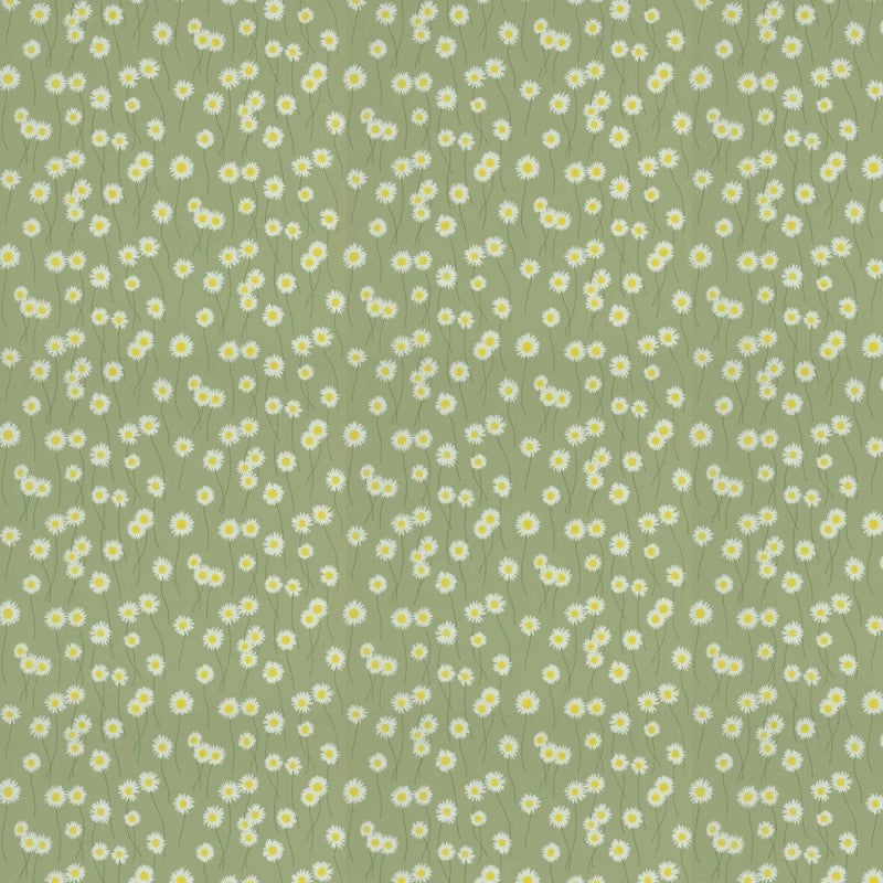 Little Greene Moon Daisies Wallpaper Sample - Garden