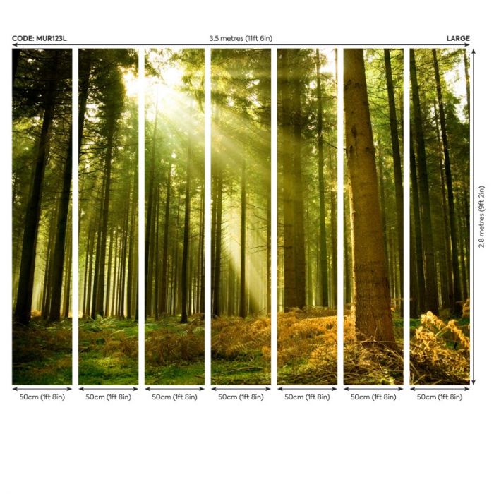 Origin Spruce Forest Wall Mural