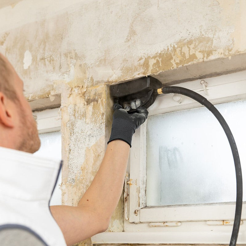 Wagner SteamForce Speed Pro Wallpaper Steamer