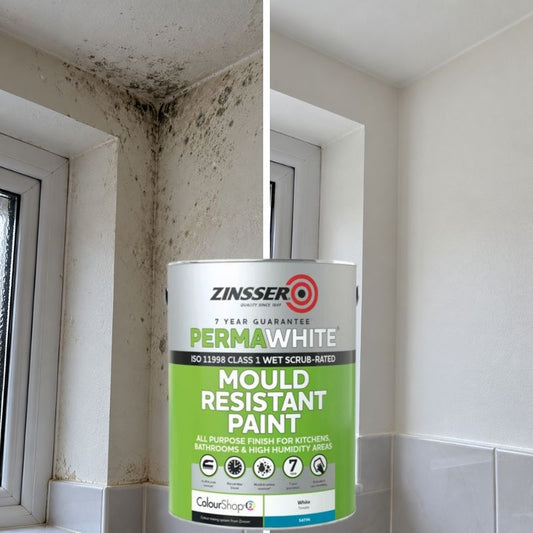 Bathroom Paint Keeps Peeling or Going Mouldy? Here’s What I’d Use