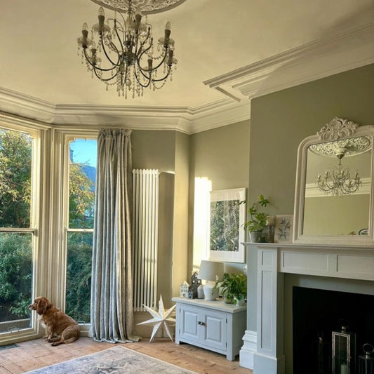 Trade Paint vs Retail Paint: What’s the Real Difference?