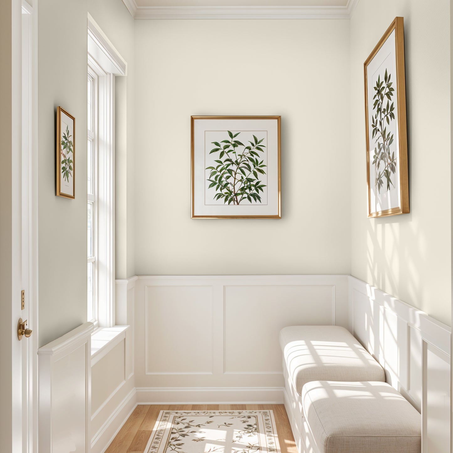 DCO Colour of the Year - The Right White