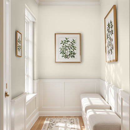 DCO Colour of the Year - The Right White