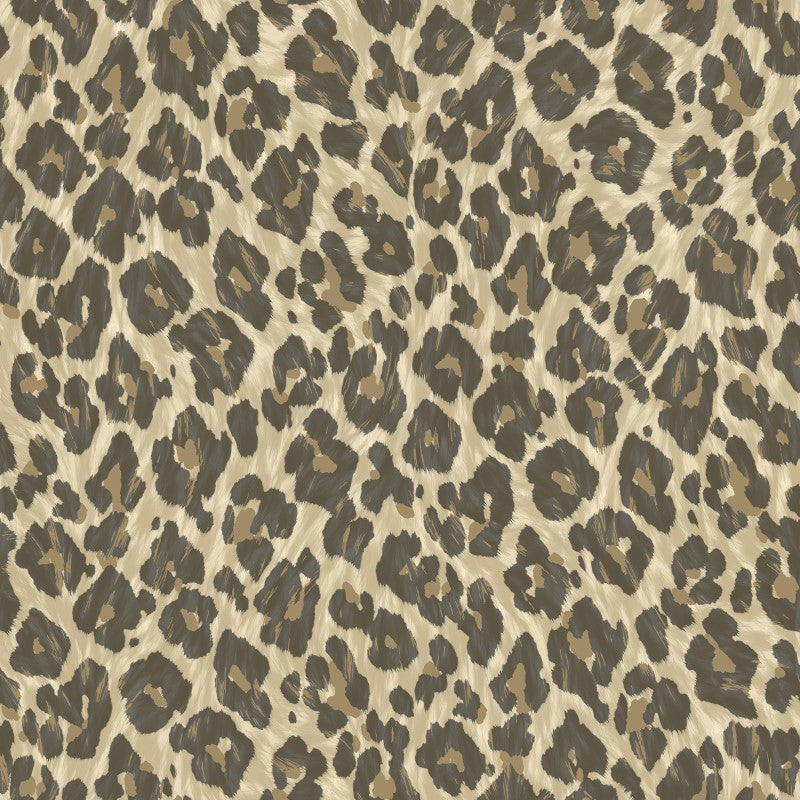 Leopard Print Wallpaper