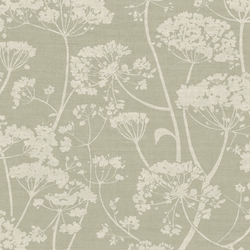 Cow Parsley Floral Trail Wallpaper Sage Sample