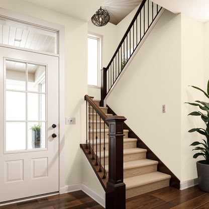 DCO Colour of the Year - Better Than Beige