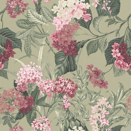 Misaki Beautiful Bloom Floral Sage / Pink Wallpaper Sample