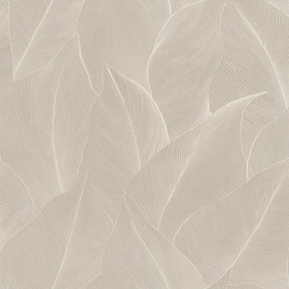 Anthurium Linear Leaf Wallpaper