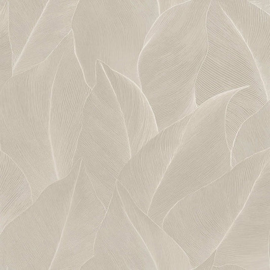 Anthurium Linear Leaf Wallpaper