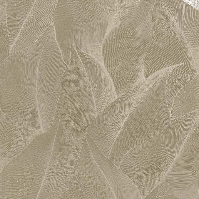 Anthurium Linear Leaf Wallpaper
