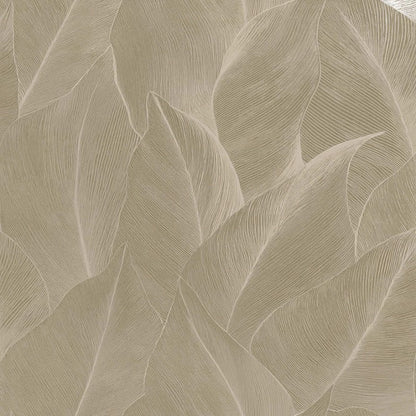Anthurium Linear Leaf Wallpaper