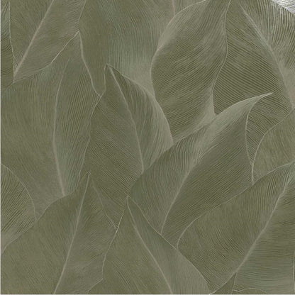 Anthurium Linear Leaf Wallpaper