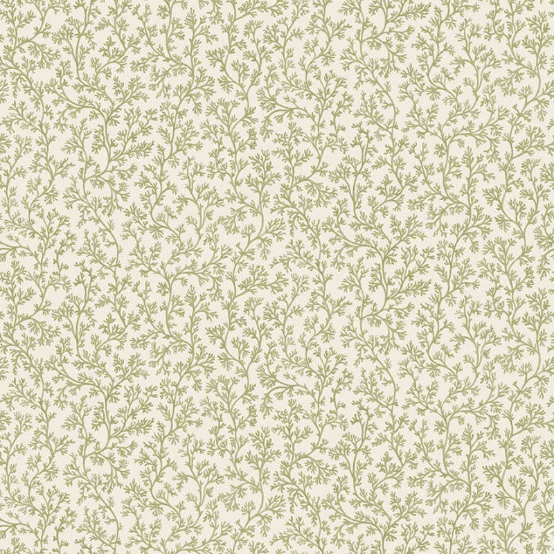 Posidonia Coral Wallpaper