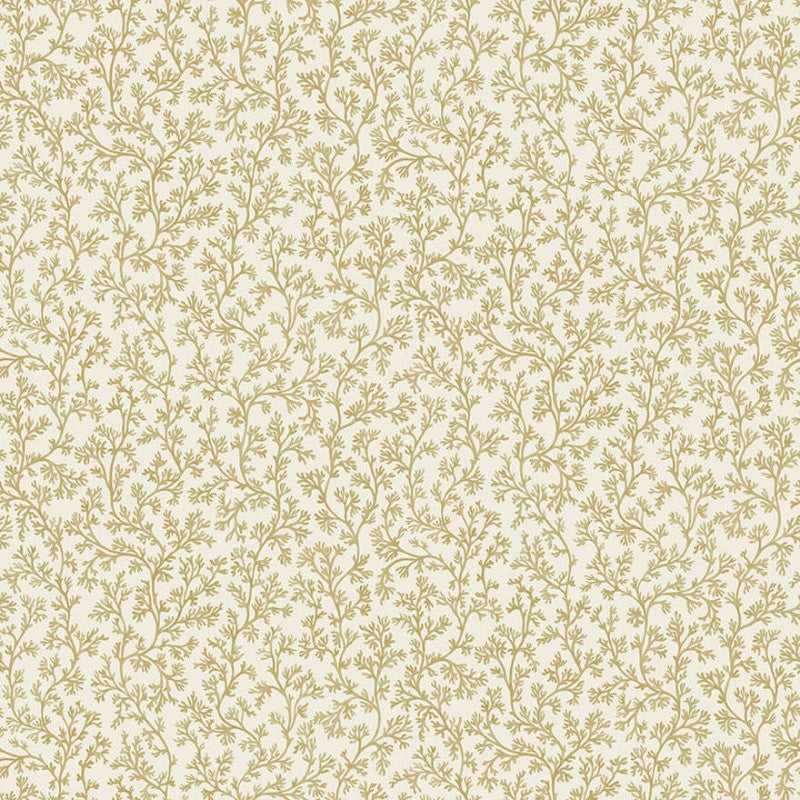 Posidonia Coral Wallpaper