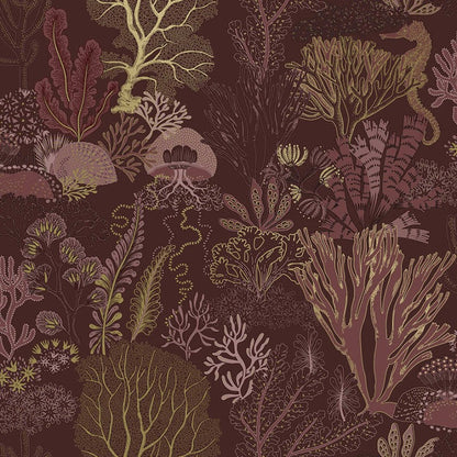 Nautilus Under The Sea Wallpaper