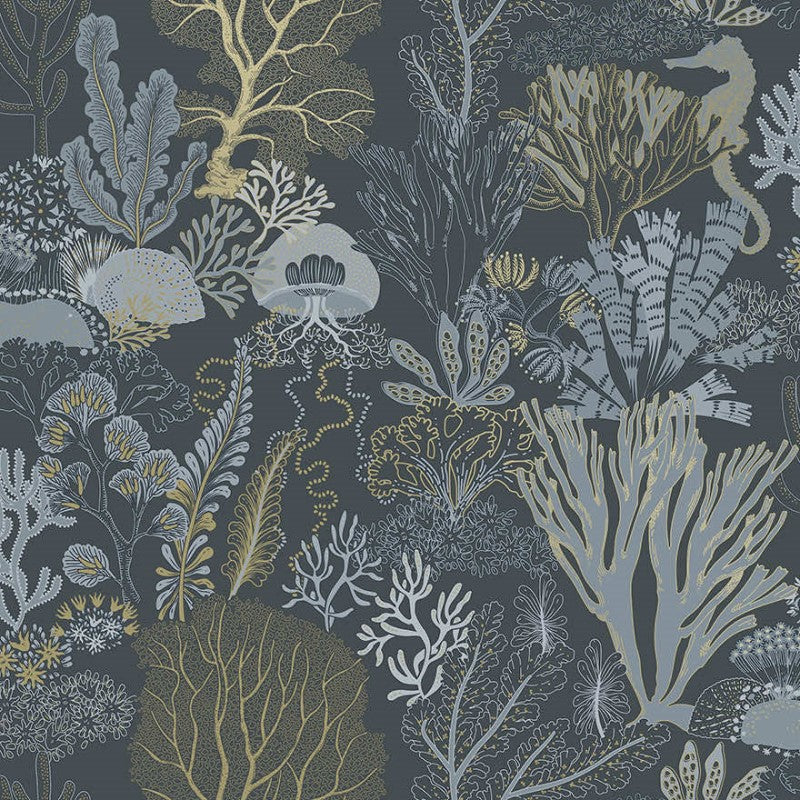Nautilus Under The Sea Wallpaper