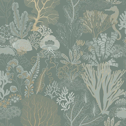 Nautilus Under The Sea Wallpaper