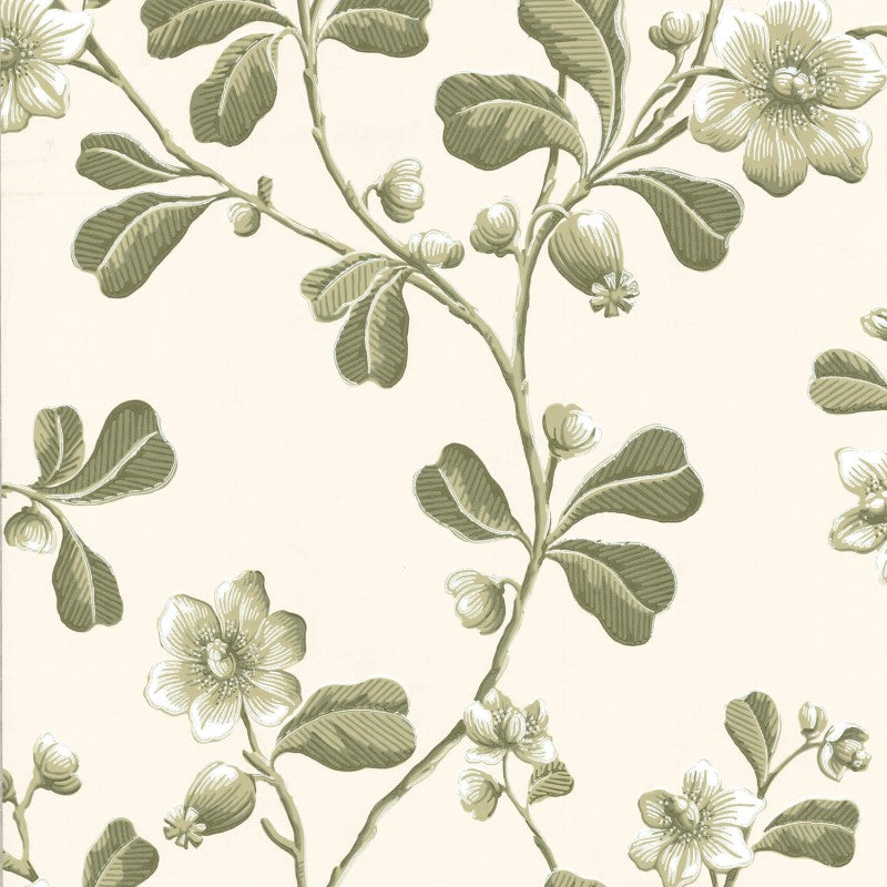 Little Greene Broadwick St Wallpaper