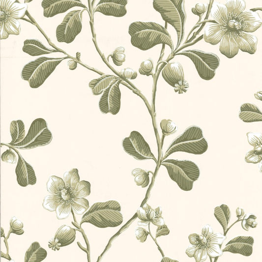 Little Greene Broadwick St Wallpaper Sample - Garden