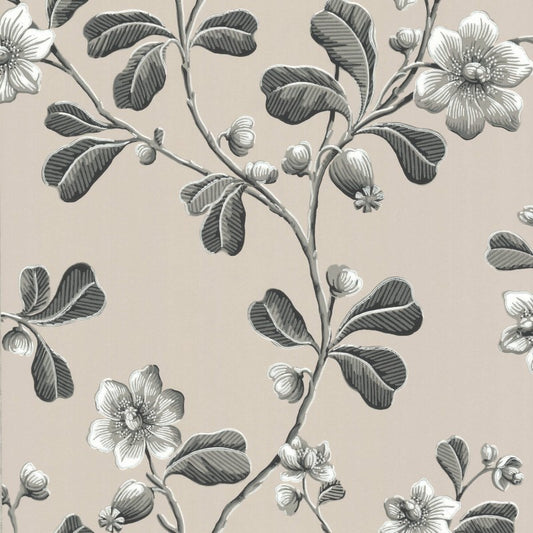 Little Greene Broadwick St Wallpaper Sample - Mono