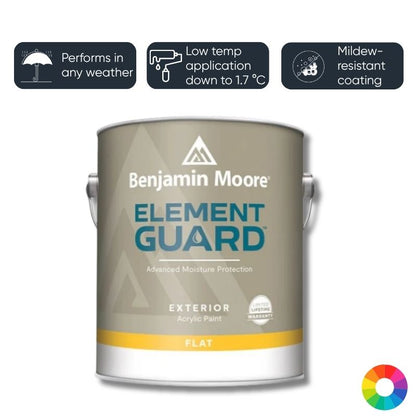 Benjamin Moore Element Guard - Colour Match
