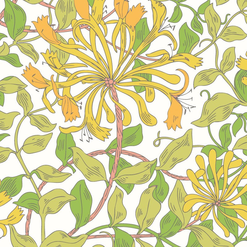Hoopla Walls Honeysuckle Leaf Trail Wallpaper