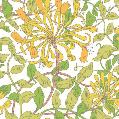 Hoopla Walls Honeysuckle Leaf Trail Wallpaper