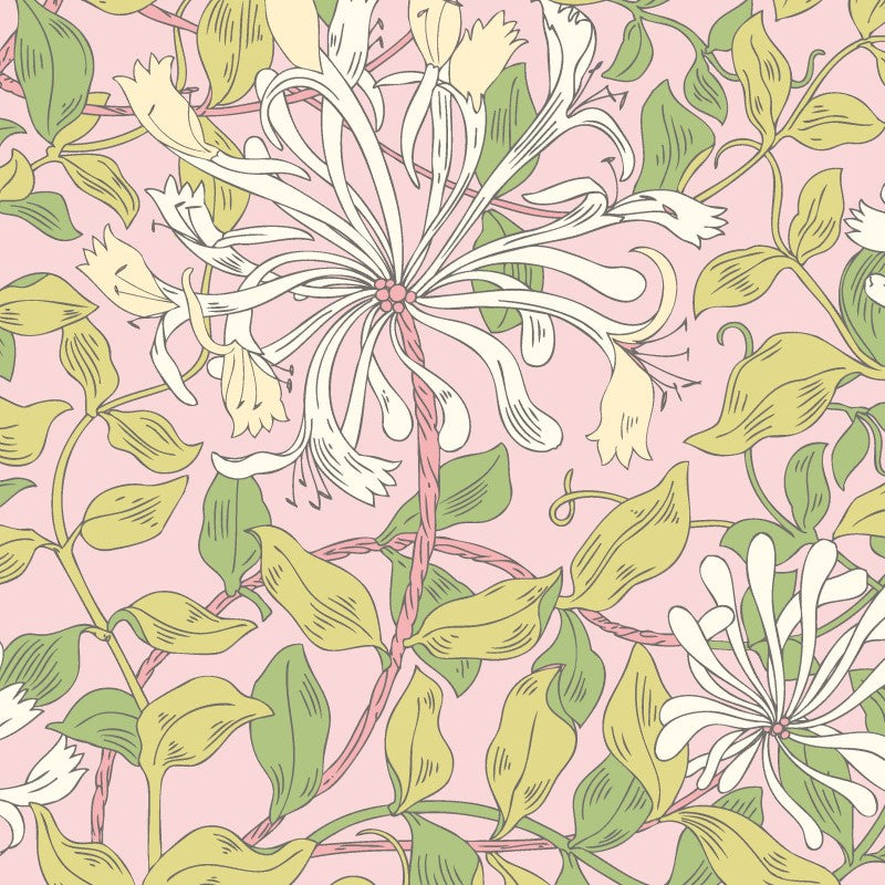 Hoopla Walls Honeysuckle Leaf Trail Wallpaper