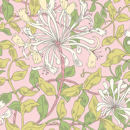 Hoopla Walls Honeysuckle Leaf Trail Wallpaper