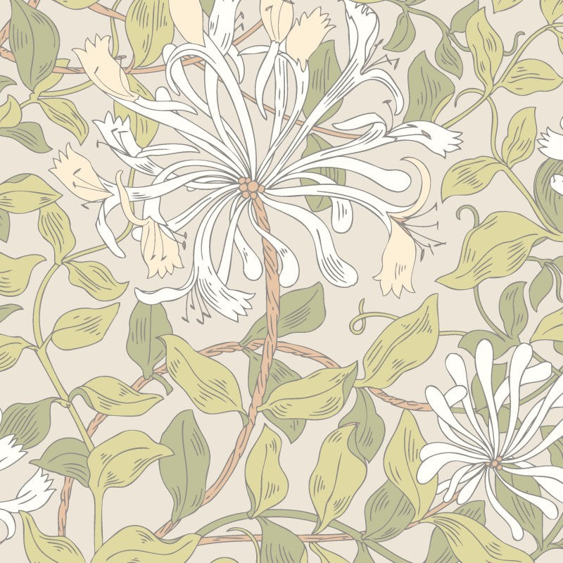 Hoopla Walls Honeysuckle Leaf Trail Wallpaper