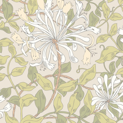 Hoopla Walls Honeysuckle Leaf Trail Wallpaper