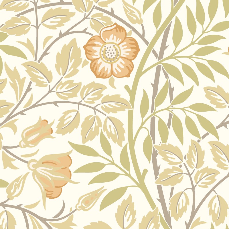 Hoopla Walls Rosehip Trail Wallpaper