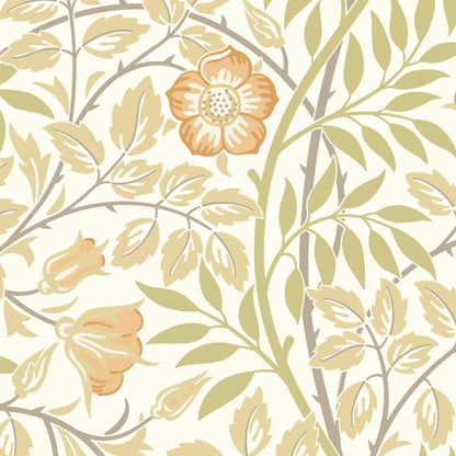 Hoopla Walls Rosehip Trail Wallpaper