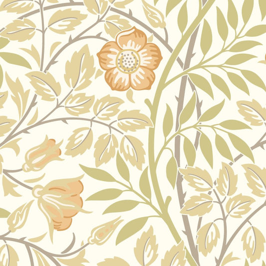 Hoopla Walls Rosehip Trail Wallpaper