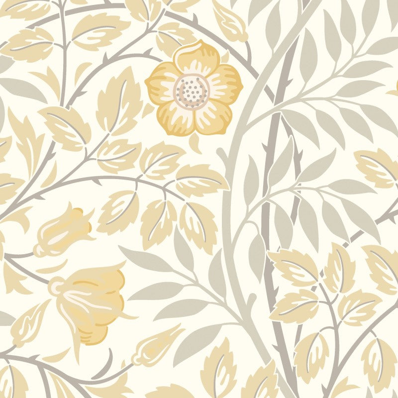 Hoopla Walls Rosehip Trail Wallpaper
