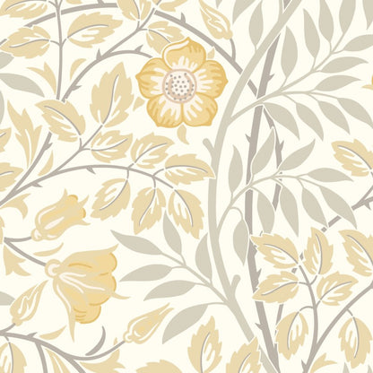 Hoopla Walls Rosehip Trail Wallpaper